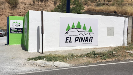 Desguaces El Pinar